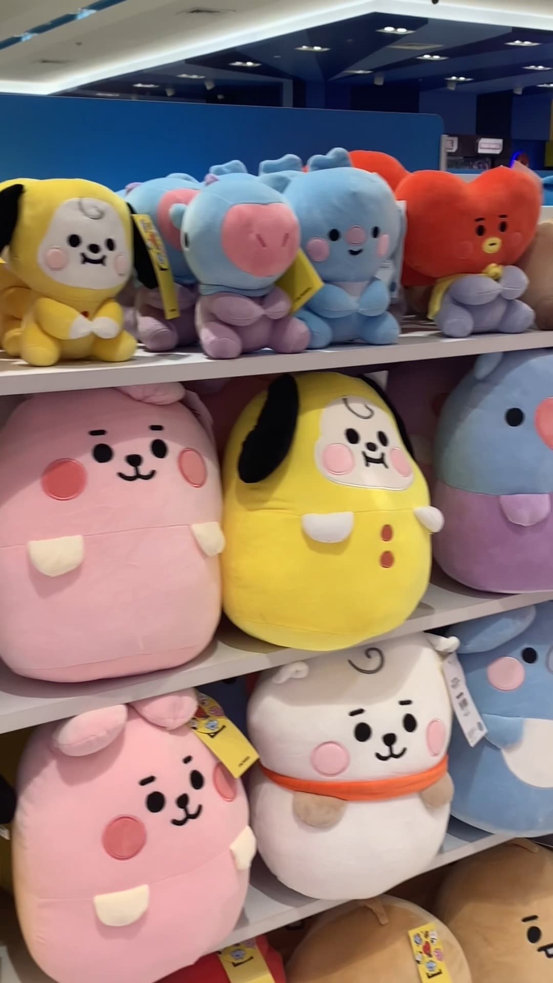 BT21 X TOY KINGDOM